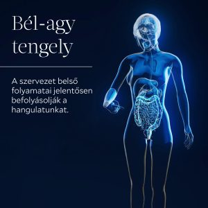 Derű NeuroMikrobiom