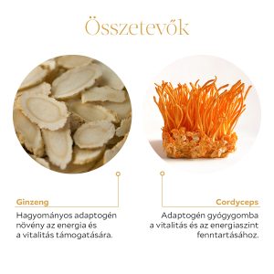 Derű Ginseng +Cordyceps
