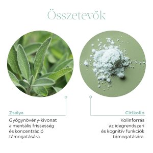 Derű Zsálya +Citikolin