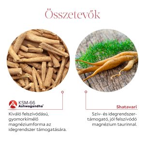 Derű Ashwagandha +Shatavari